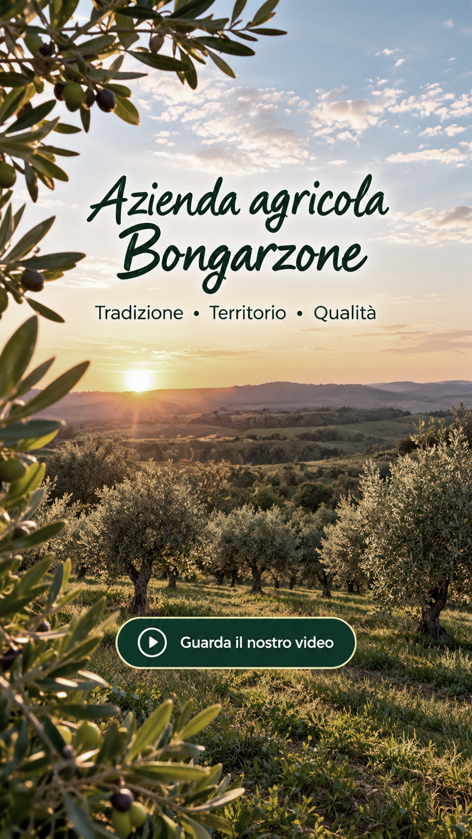 Azienda agricola Bongarzone - Il nostro uliveto